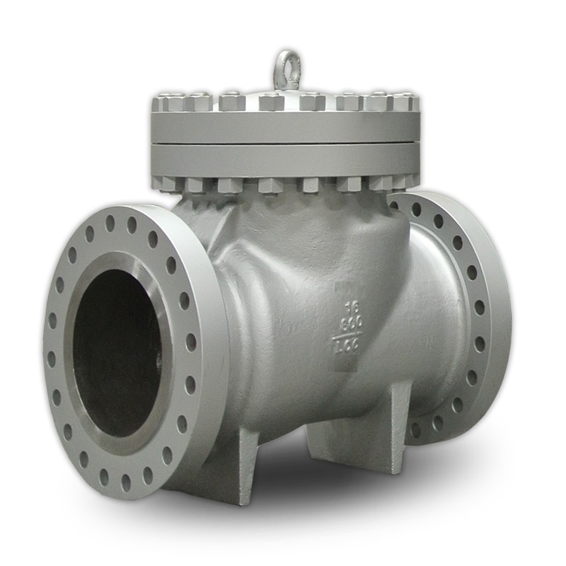 1.3 Check Valve