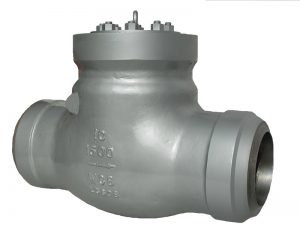 Check Valve Pressure Seal Type