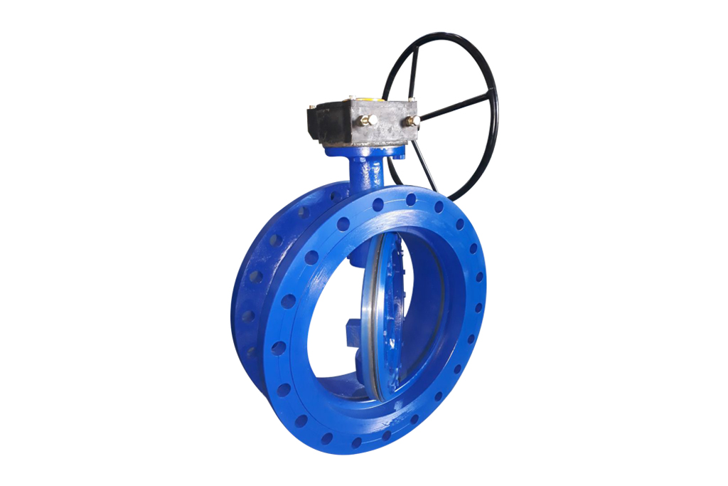 Double Offset Butterfly Valve